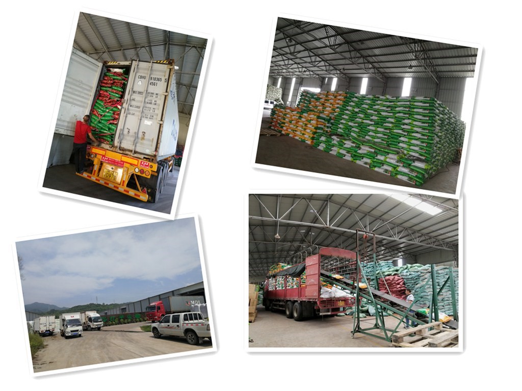 中国·js33333金沙线路检测(股份)有限公司-官方网站