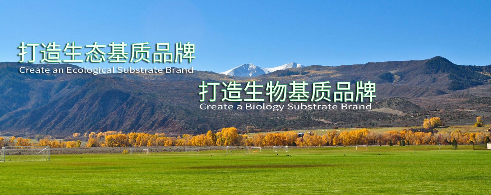 中国·js33333金沙线路检测(股份)有限公司-官方网站
