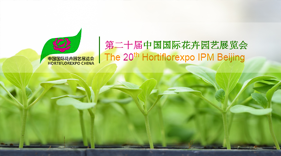 中国·js33333金沙线路检测(股份)有限公司-官方网站