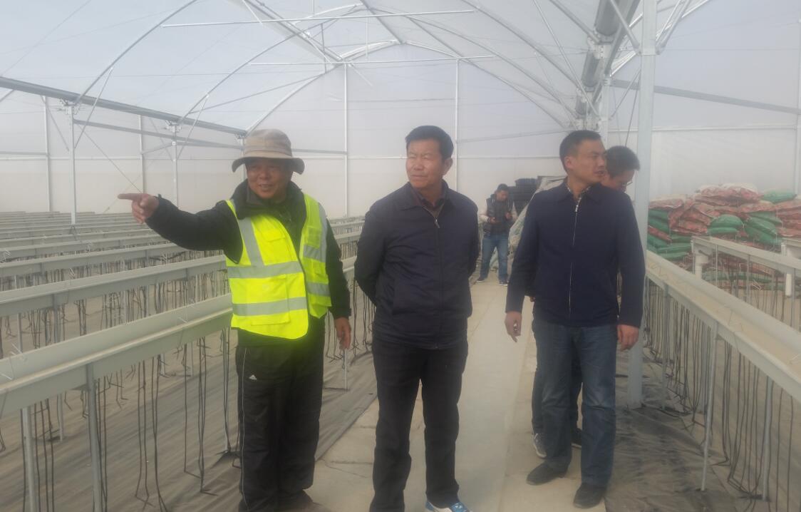 中国·js33333金沙线路检测(股份)有限公司-官方网站