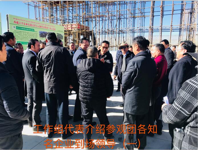中国·js33333金沙线路检测(股份)有限公司-官方网站