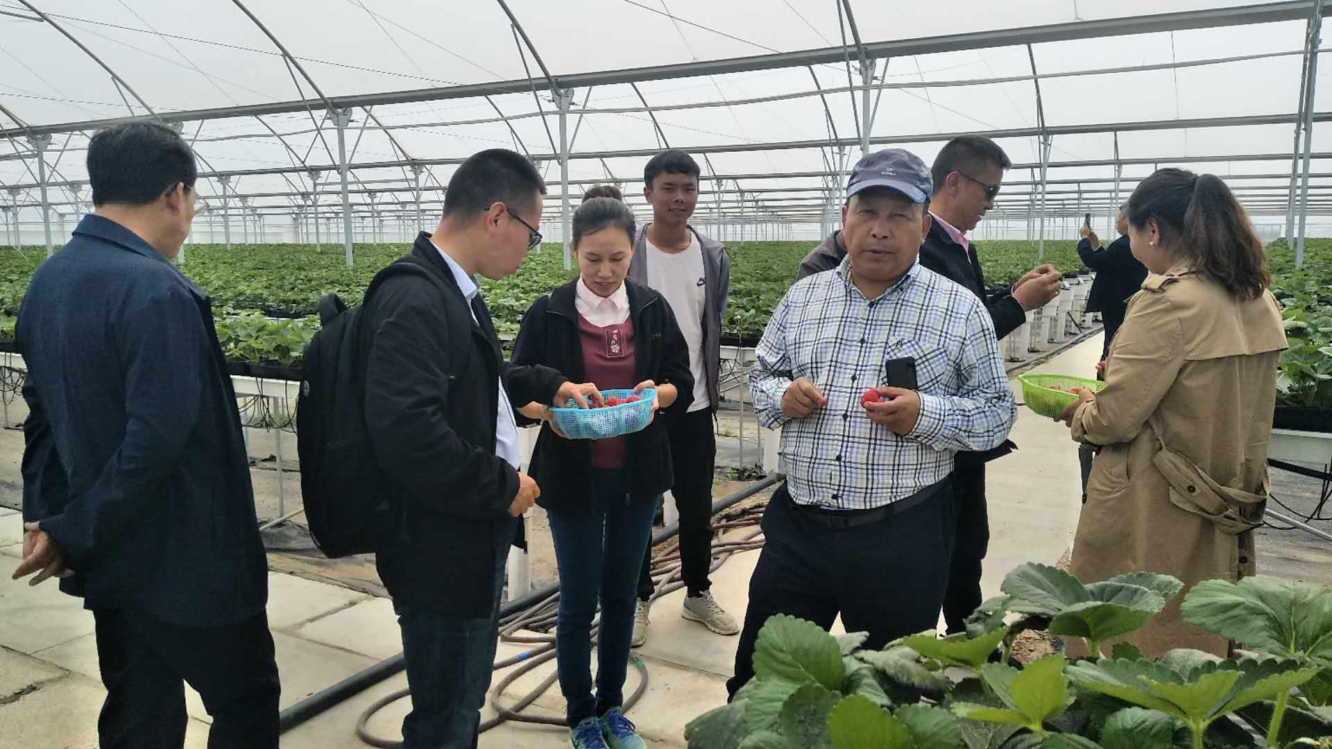 中国·js33333金沙线路检测(股份)有限公司-官方网站