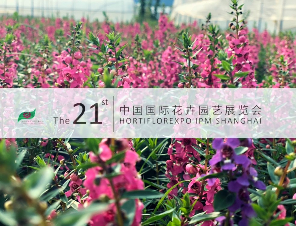 中国·js33333金沙线路检测(股份)有限公司-官方网站