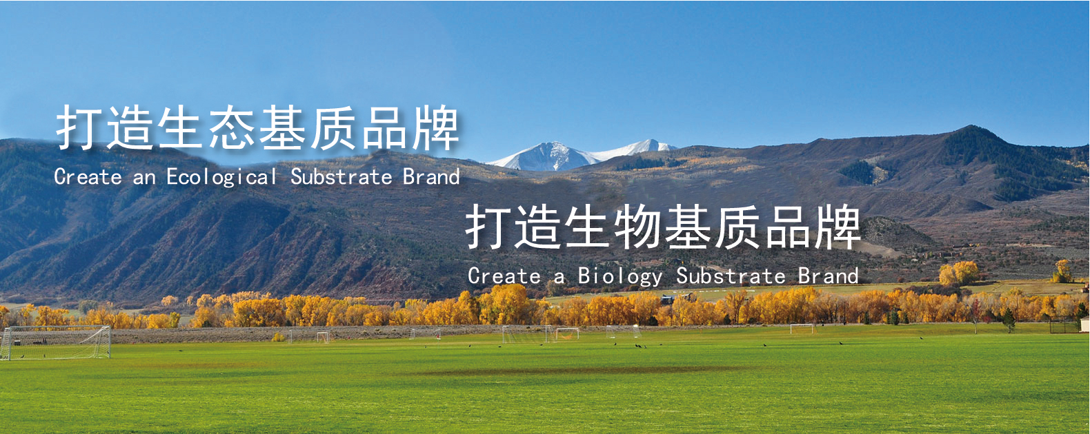 中国·js33333金沙线路检测(股份)有限公司-官方网站