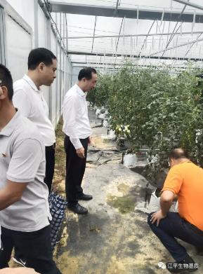 中国·js33333金沙线路检测(股份)有限公司-官方网站