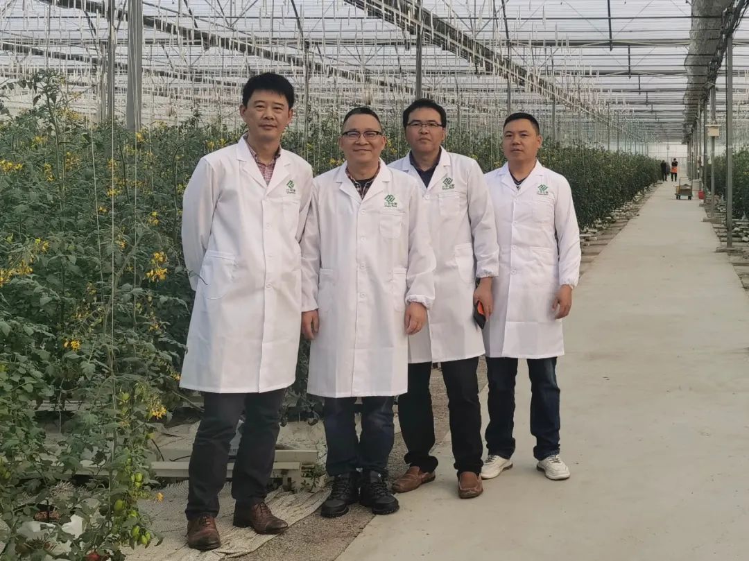 中国·js33333金沙线路检测(股份)有限公司-官方网站