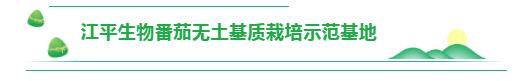 中国·js33333金沙线路检测(股份)有限公司-官方网站