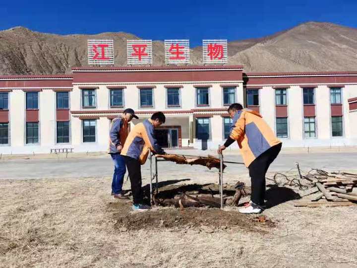 中国·js33333金沙线路检测(股份)有限公司-官方网站
