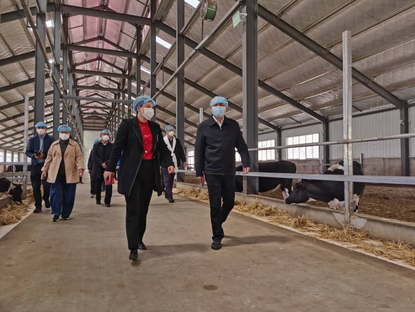 中国·js33333金沙线路检测(股份)有限公司-官方网站