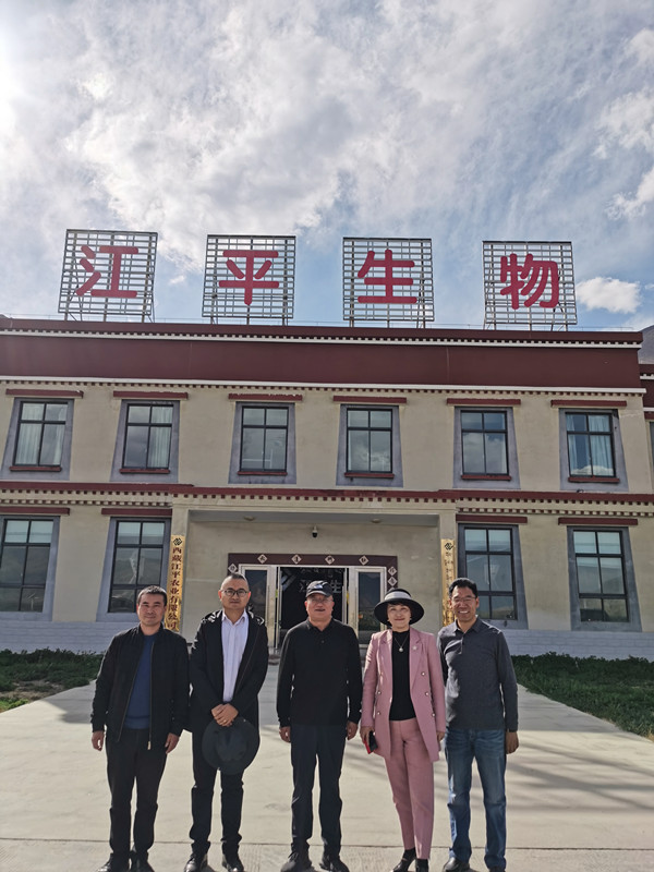 中国·js33333金沙线路检测(股份)有限公司-官方网站