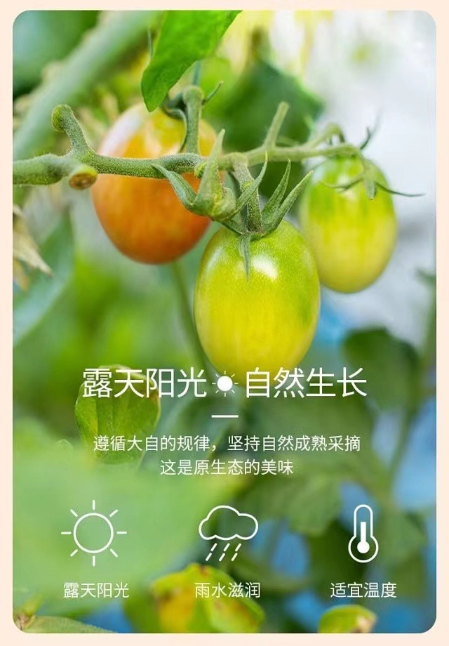 中国·js33333金沙线路检测(股份)有限公司-官方网站