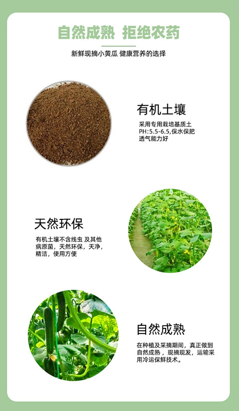 中国·js33333金沙线路检测(股份)有限公司-官方网站