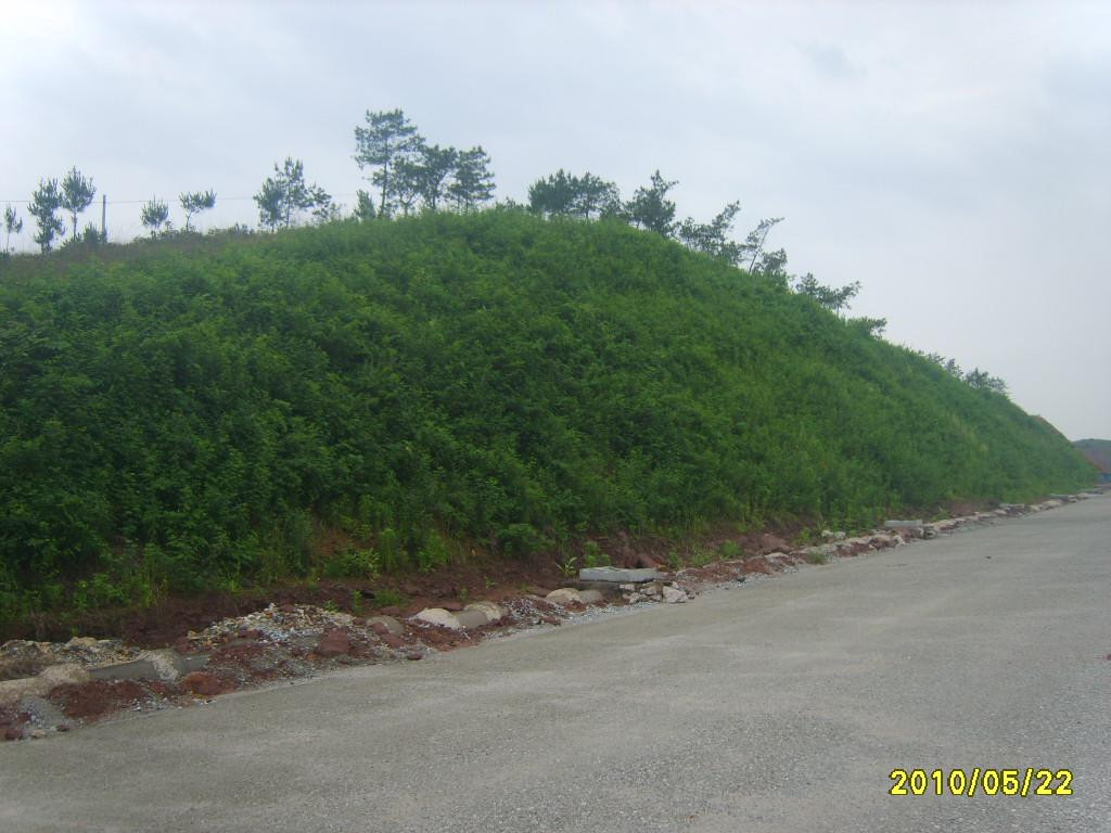 中国·js33333金沙线路检测(股份)有限公司-官方网站