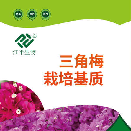 中国·js33333金沙线路检测(股份)有限公司-官方网站