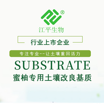 中国·js33333金沙线路检测(股份)有限公司-官方网站