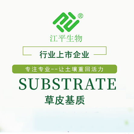 中国·js33333金沙线路检测(股份)有限公司-官方网站