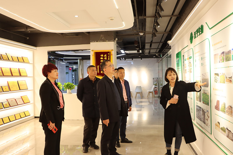 中国·js33333金沙线路检测(股份)有限公司-官方网站