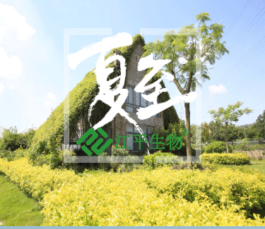 中国·js33333金沙线路检测(股份)有限公司-官方网站